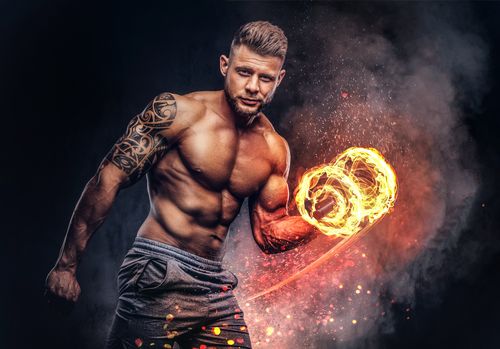 Vitamines et Musculation : Un Guide Complet pour Optimiser vos Performances
